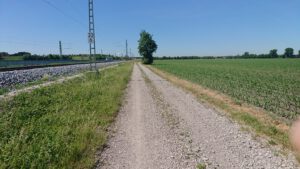 Mehr über den Artikel erfahren Rückschlag für Radentscheid Freising