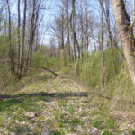 Isardeichweg