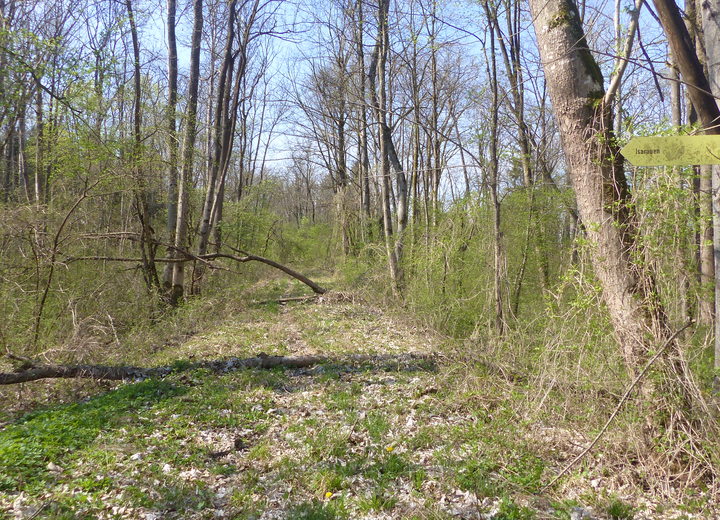 Isardeichweg