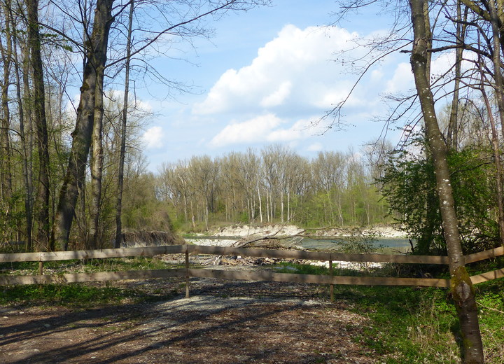 03: Erosionsschaden am Isarradweg