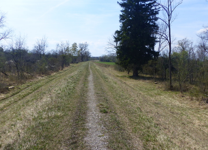 07: Deichweg bei Mintraching