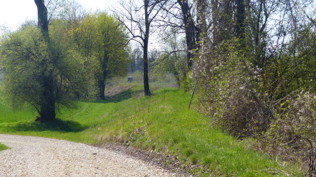 Deichweg als Alternative bei Eggertshofen ?