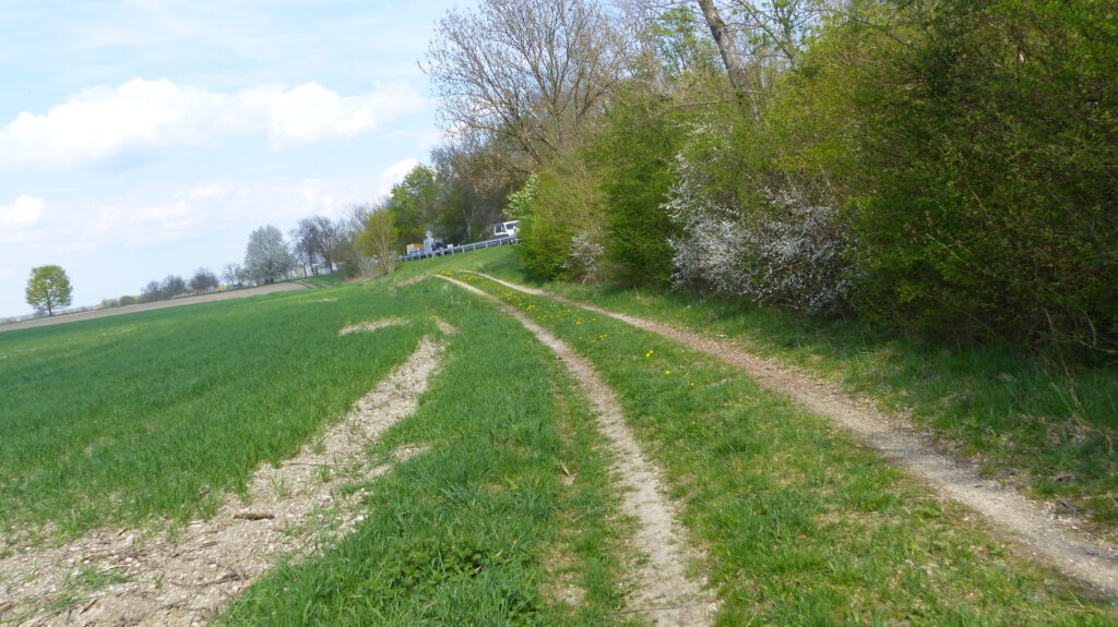 Feldweg zwischen Gut Marienhof und Dietersheim